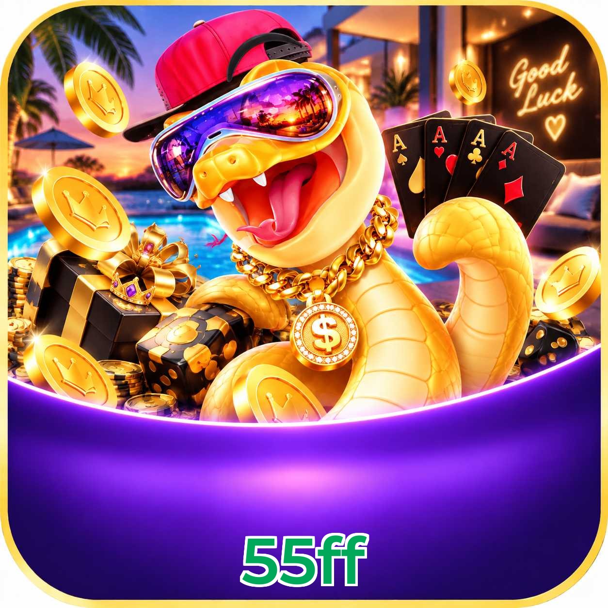 55ff Compatibilidade